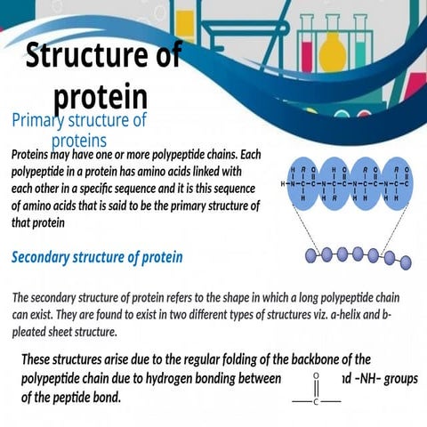 Secondary structure of proteins.pptx (Biochemistry) | PPTX