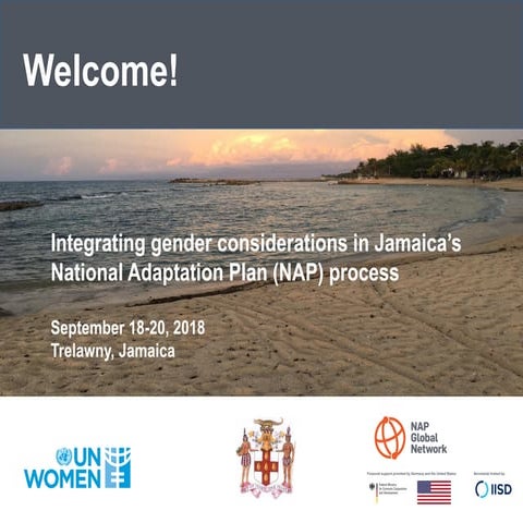 Integrating gender considerations in Jamaica’s National Adaptation Plan (NAP)...