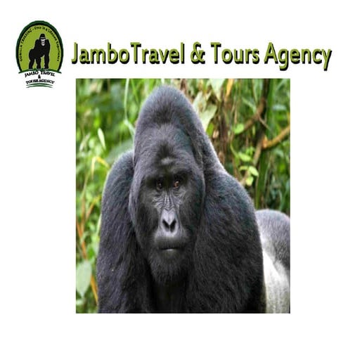 Rwanda tourism | PDF