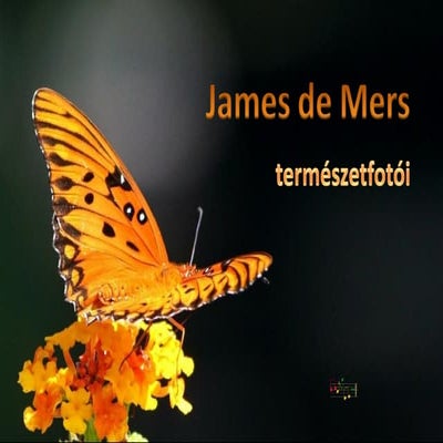 James de Mers természetfotói