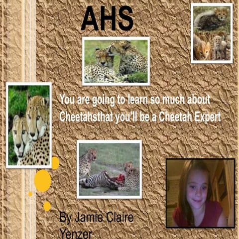 Jamiecheetahslidenine