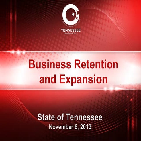 TN Business Retention & Expansion Course 2013 - Experts Panel - Jamie Stitt P...