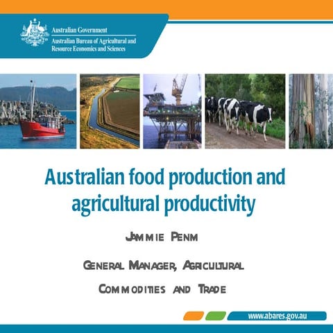 National Food Production and Agricultural Productivity