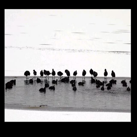 Jammu & Kashmir in Lovely Winter