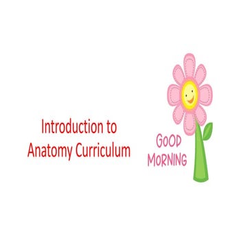 Anatomy curriculum- we & our students