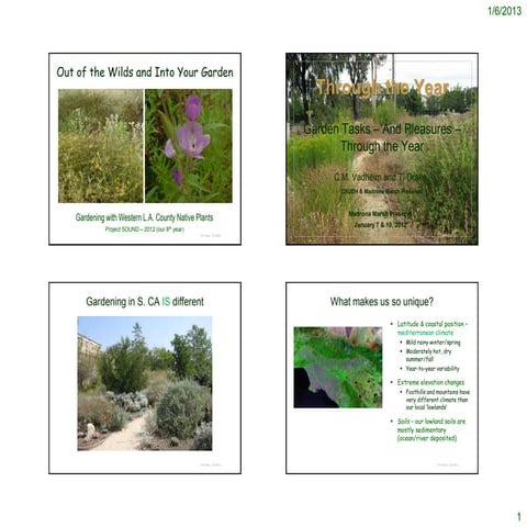 Sandy soil gardening - notes | PDF