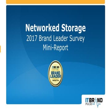 2017 Networked Storage Brand Leader Mini-Report