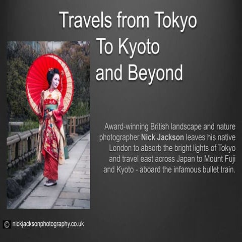 Travels from Tokyo to Kyoto and beyond