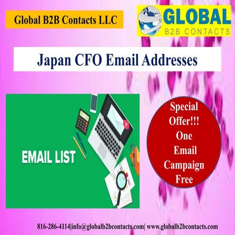 Japan business email list | PPTX