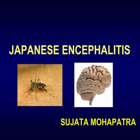 Japanese encephalitis