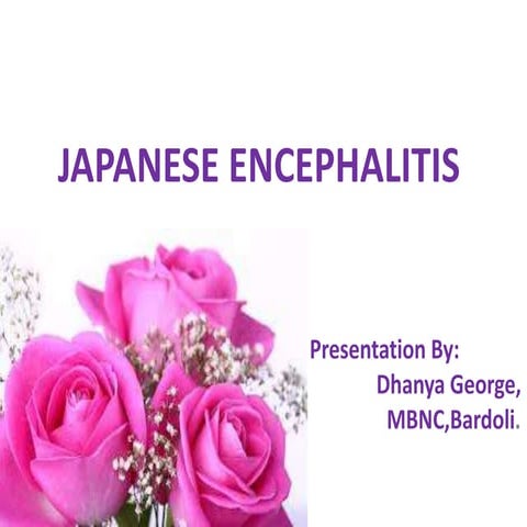 Japanese Encephalitis