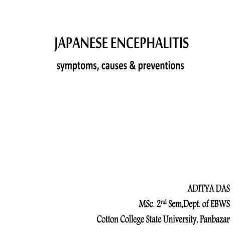 Japanese encephalitis 