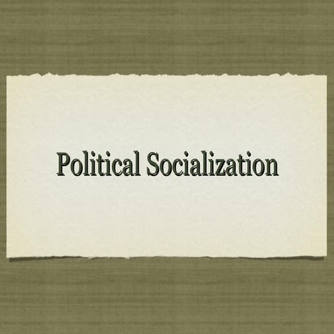 Japanese Political Socialization