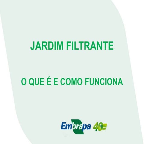 Jardim filtrante –_o_que_é_e_como_funciona_–_wilson