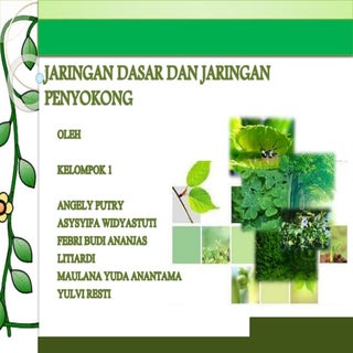 Jaringan Dasar atau Parenkim