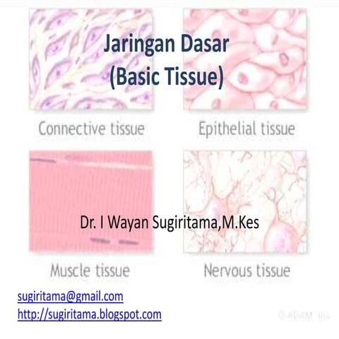 Jaringan dasar (basic tissue)