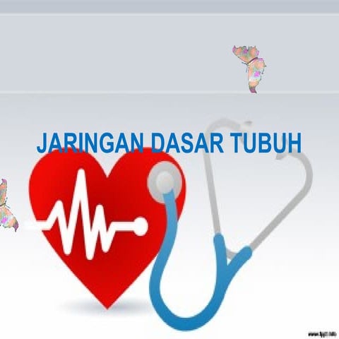 Jaringan dasar tubuh
