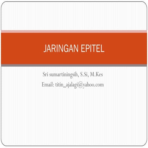Jaringan epitel