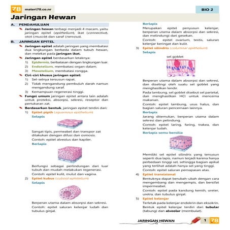MATERI Jaringan hewan KELAS XI SMA