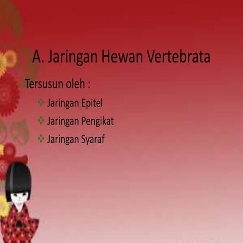 Jaringan hewan vertebrata (jaringan epitel)