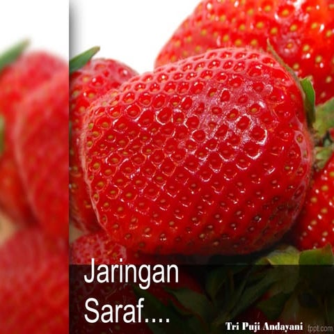 Jaringan saraf