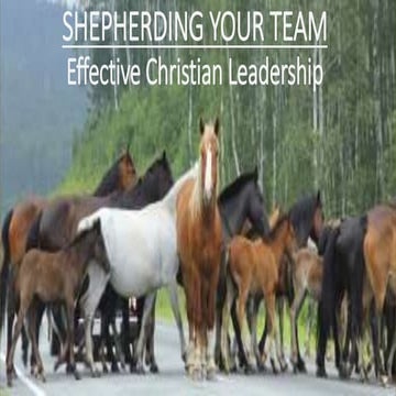 Shepherding Your Team