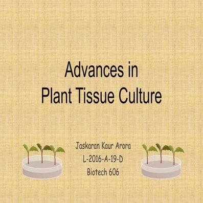 Advances in Plant tissue culture | PPTX