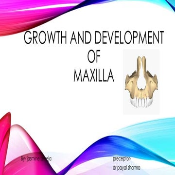 growth and development of maxilla