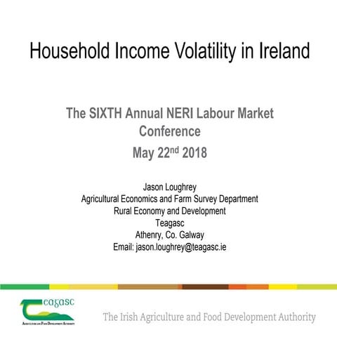 Jason Loughrey, Household income volatility in Ireland