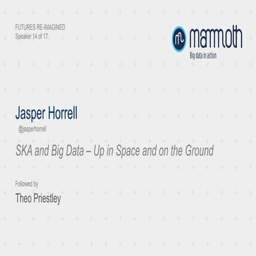 Jasper Horrell - SKA and Big Data: Up in Space and on the Ground