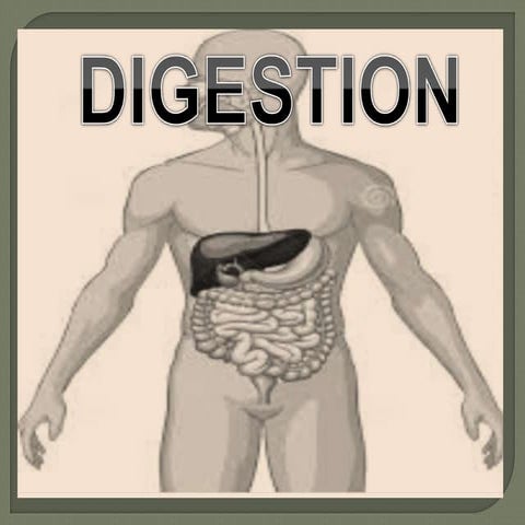 Digestion EVS presentation
