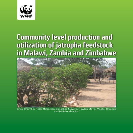 Community Level Production and Utilization of Jatropha Feedstock in Malawi, Z...