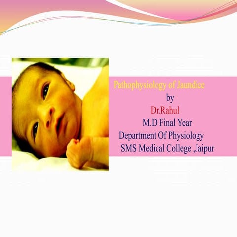 Jaundice DR RAHUL PHYSIOLOGY SMS MC JAIPUR mobile no-8764324067
