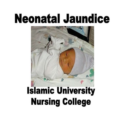 Jaundice Neonatal 11 Ppt