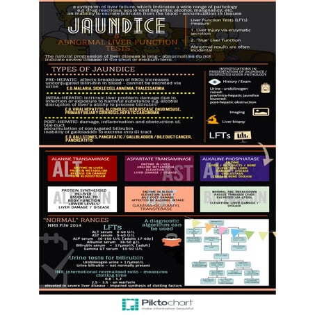 Jaundice and abnormal LFTs – Interpretation