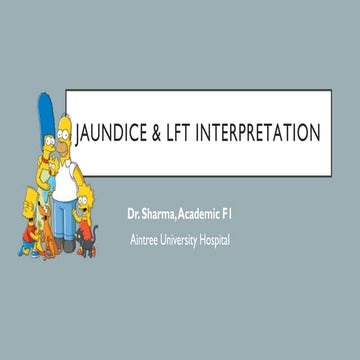 Jaundice and LFT interpretation