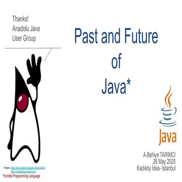 Java Programming Language: until 2025 and beyond