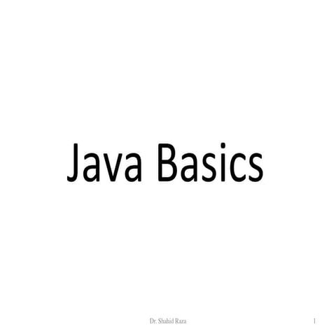 Java basics | PDF