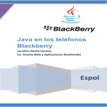 Java blackberry | PDF