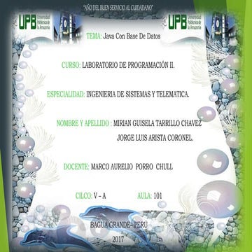 Java con base de datos