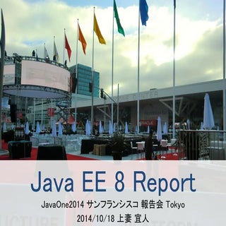 Java EE8 Report