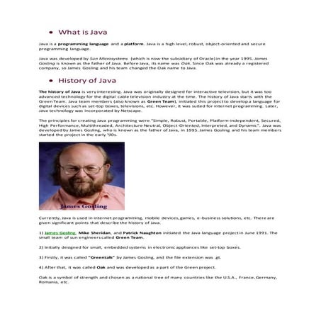 Java notes | All Basics | | PDF