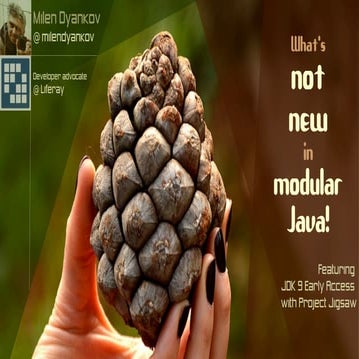Javantura v4 - What’s NOT new in modular Java - Milen Dyankov