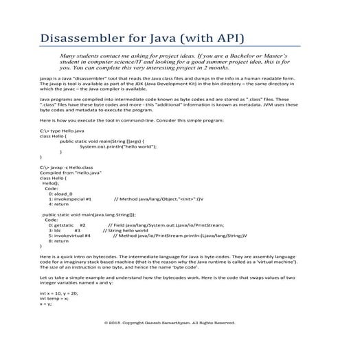 College Project - Java Disassembler - Description | PDF