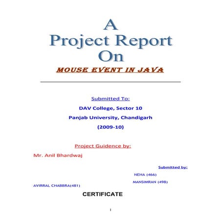 Java report | PDF