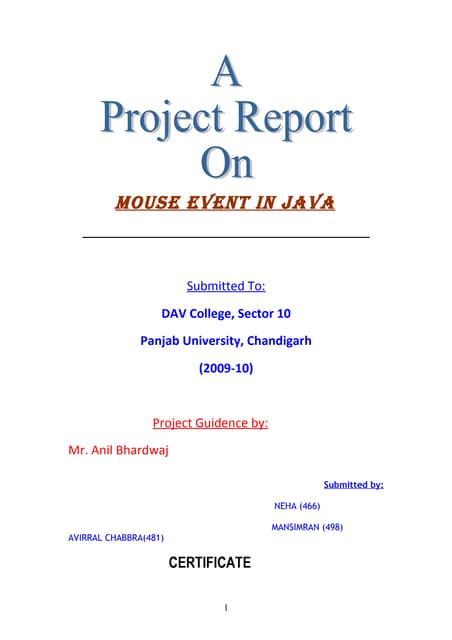 Java report | PDF