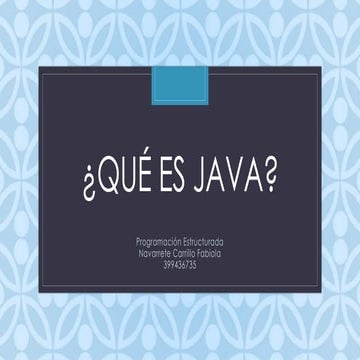 Java variables