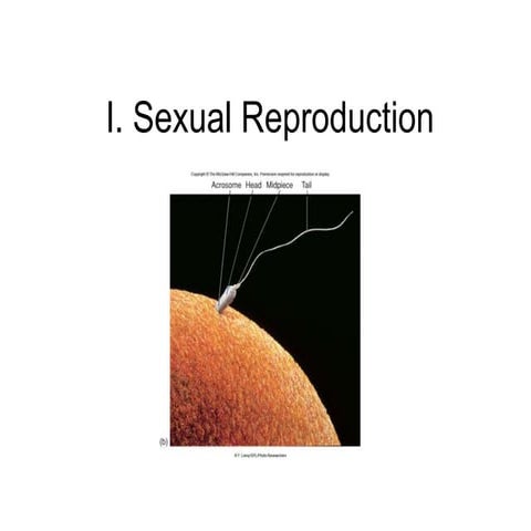 1._General_Reproduction.pdf King CAESOR UNIVERSITY