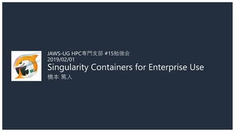 Singularity Containers for Enterprise Use
