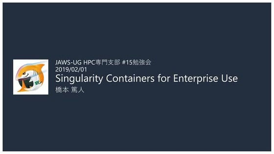 Singularity Containers for Enterprise Use